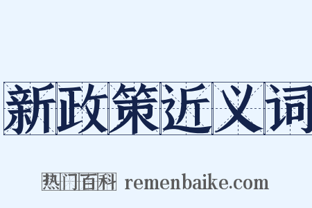 新政策近义词是什么意思的图片